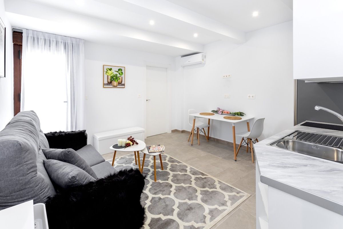 Apartamento céntrico sin barreras arquitectónicas