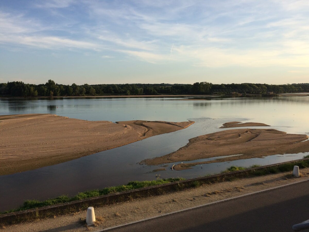 Appart Cosy vue sur Loire "Les bancs de sable"