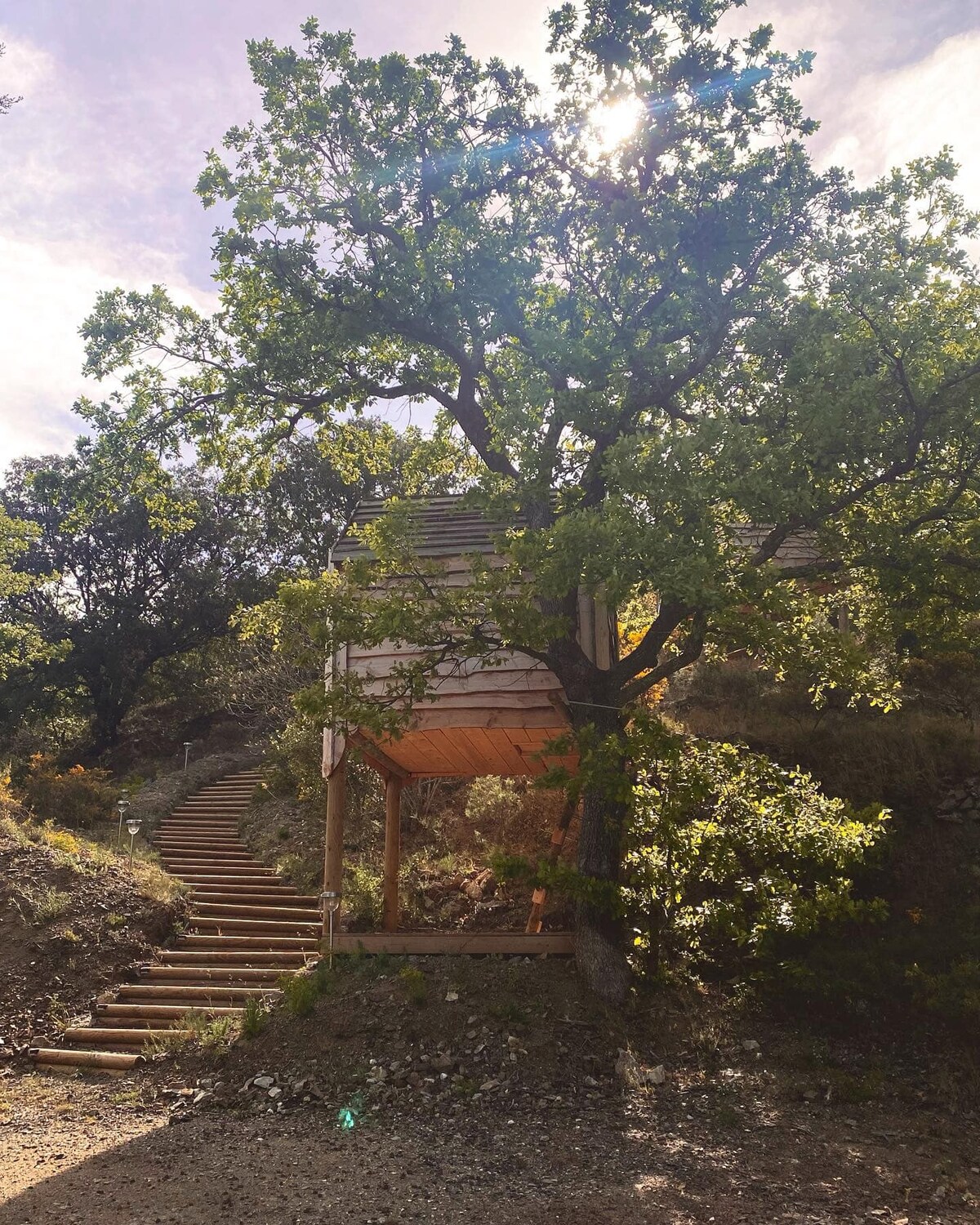 Cabane dans les arbres "Boréale" - Terrasse & vue