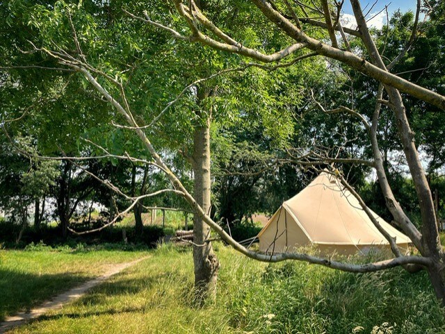 't Schaaphof Tent en Breakfast