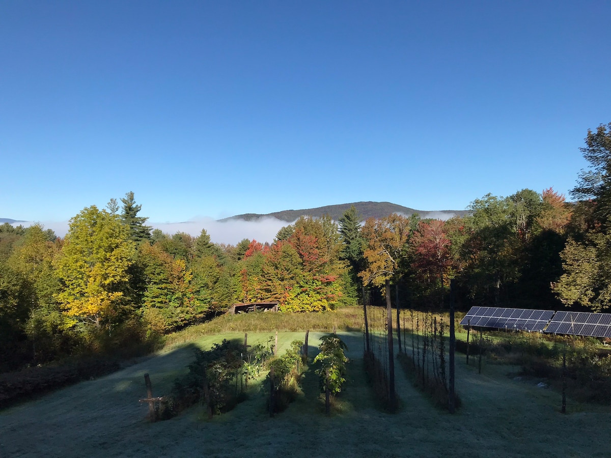 Pet friendly, sunset & 
mountain view VT retreat