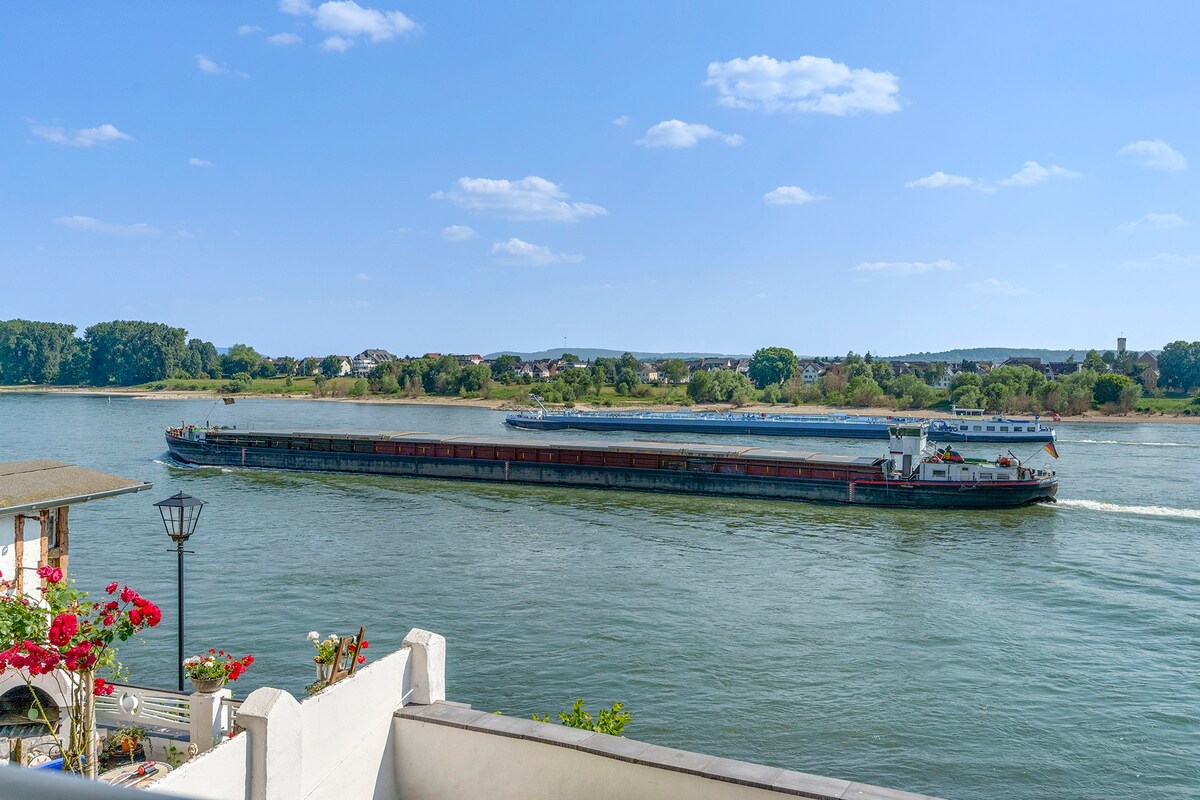 Beautiful apartment right on the Rhine