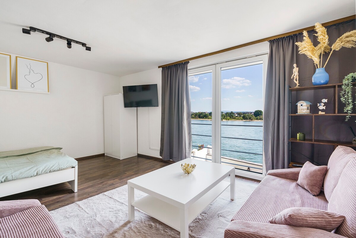 Beautiful apartment right on the Rhine