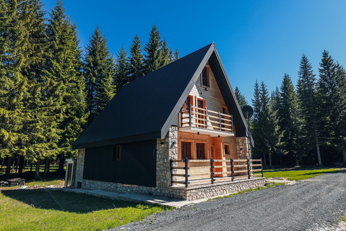 Villa "Shadow" Zabljak