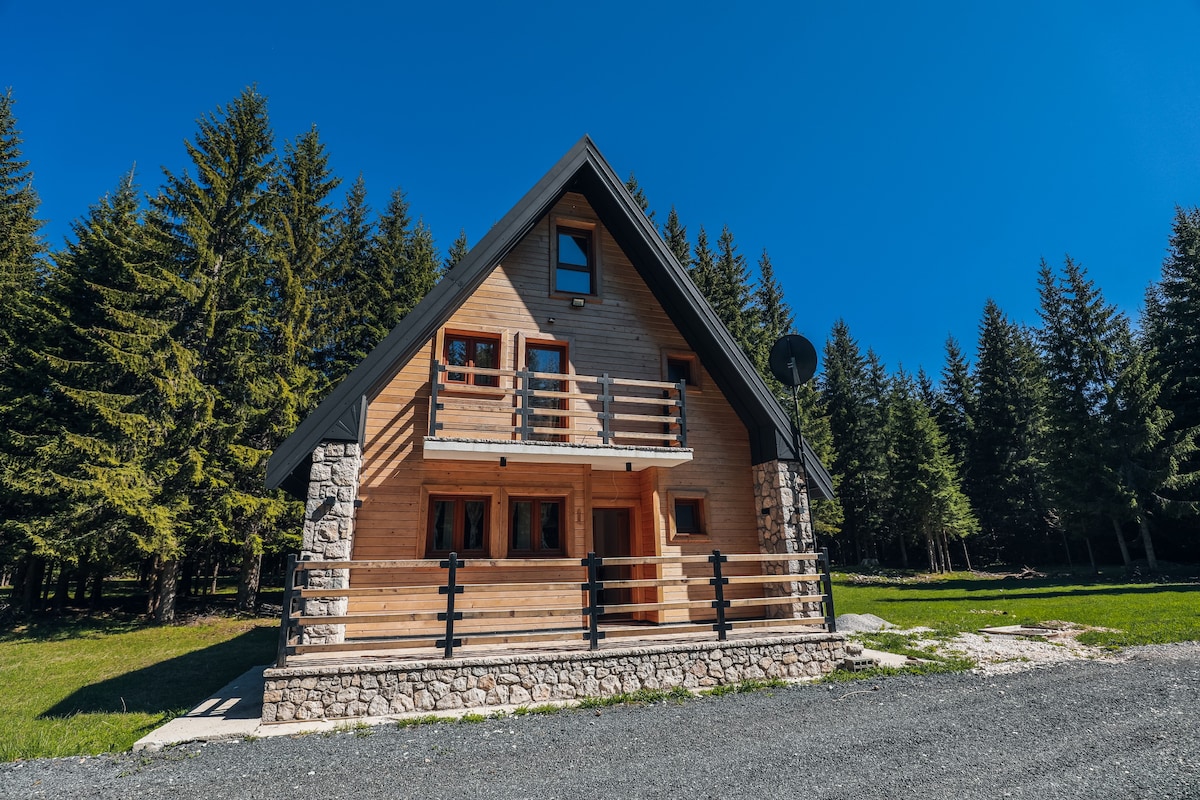 Villa "Shadow" Zabljak