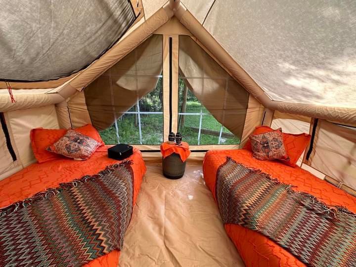 动物收容所帐篷露营： 2张双人床