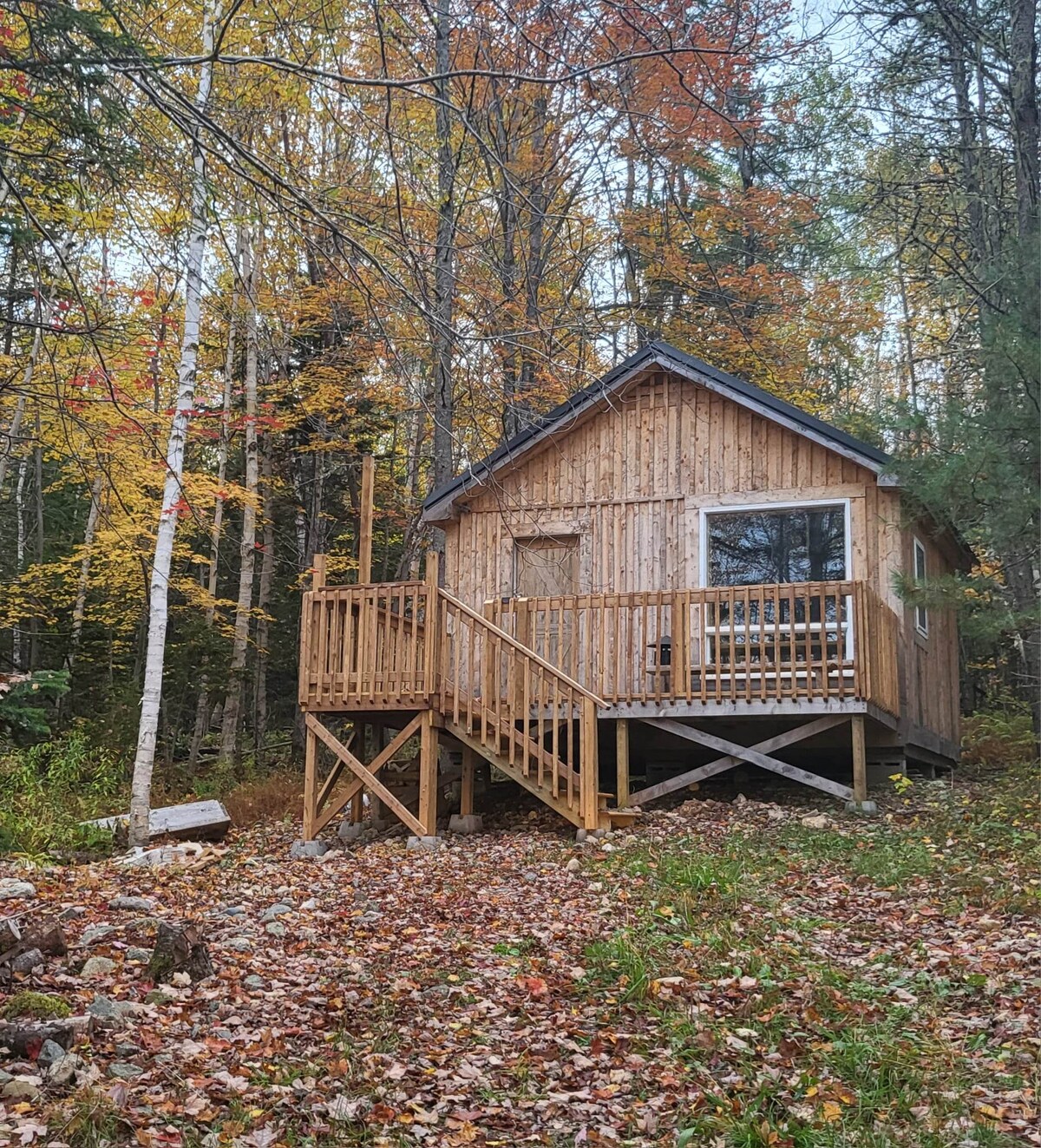 The Lazy Moose Cabin - Rustic Dry Cabin