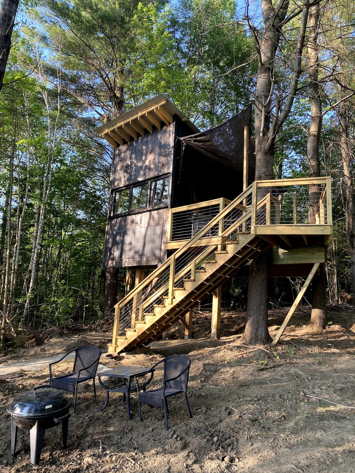 The Lake Willoughy Treehouse