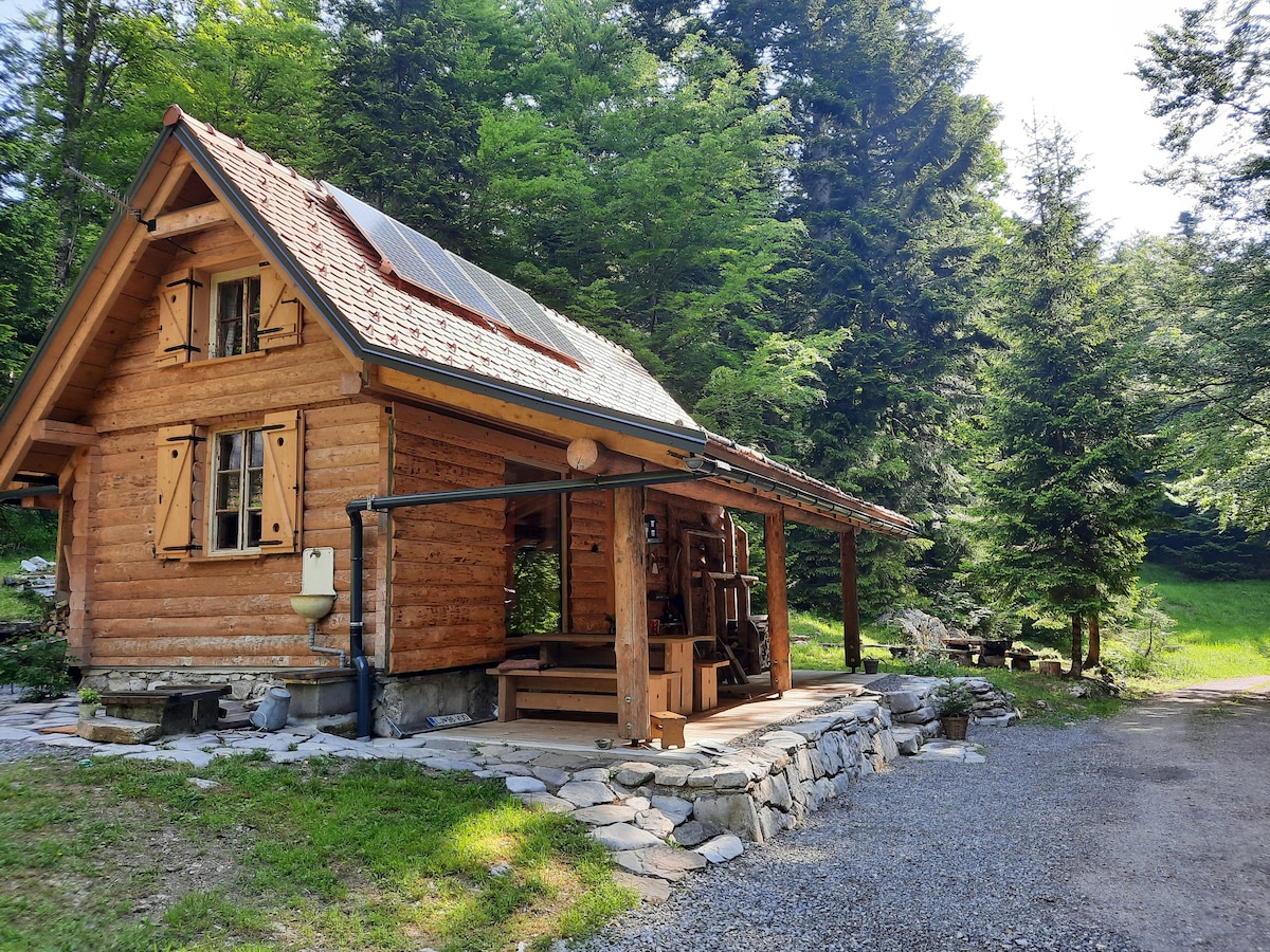 位于Kočevo森林的森林小木屋