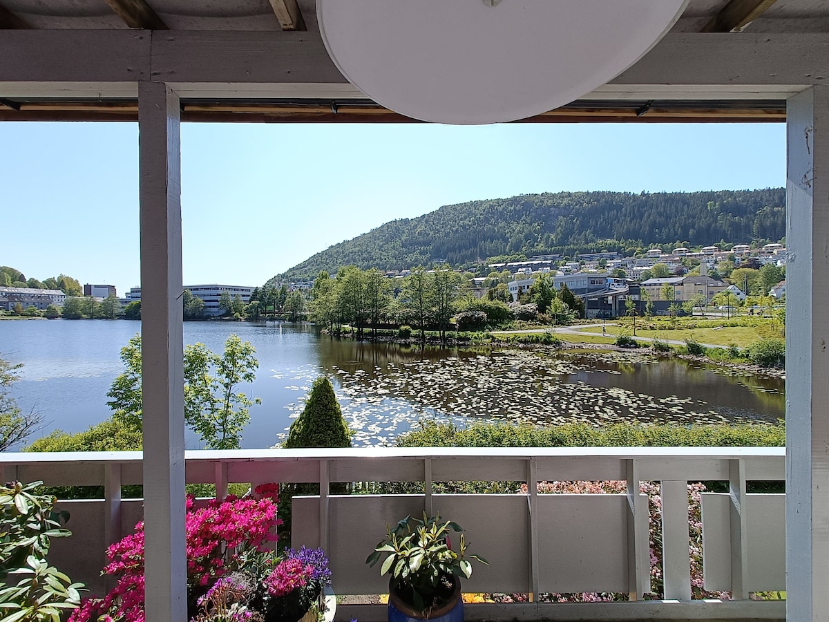 Beautiful apartment with terrace