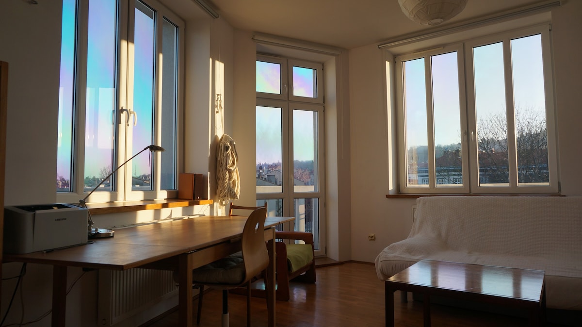 sunny apartment — for a day or two