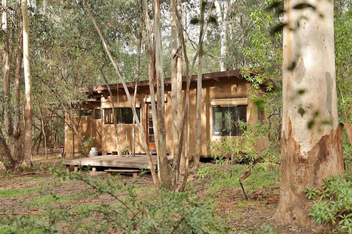 Casa de barro rodeada de monte