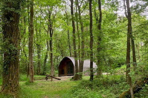 Cosy woodland cabin
