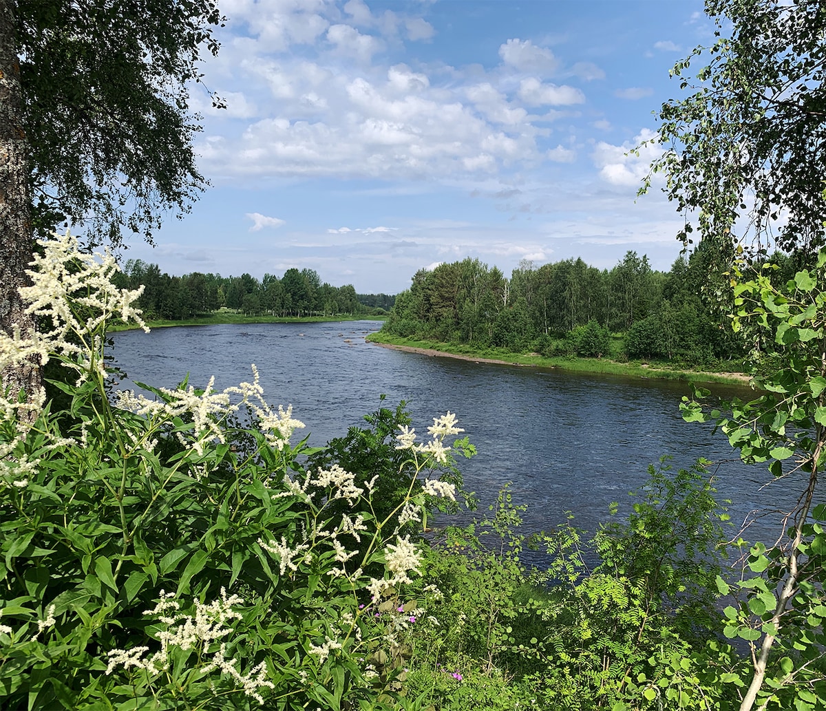 Älvkanten i Tornedalen