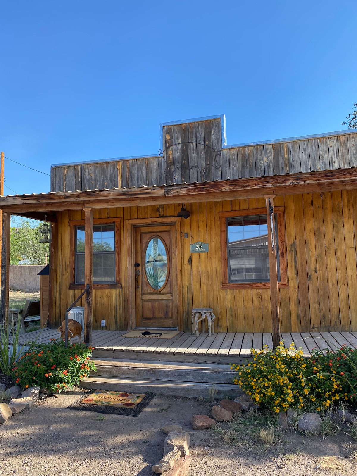 Long Dog Cabin Downtown