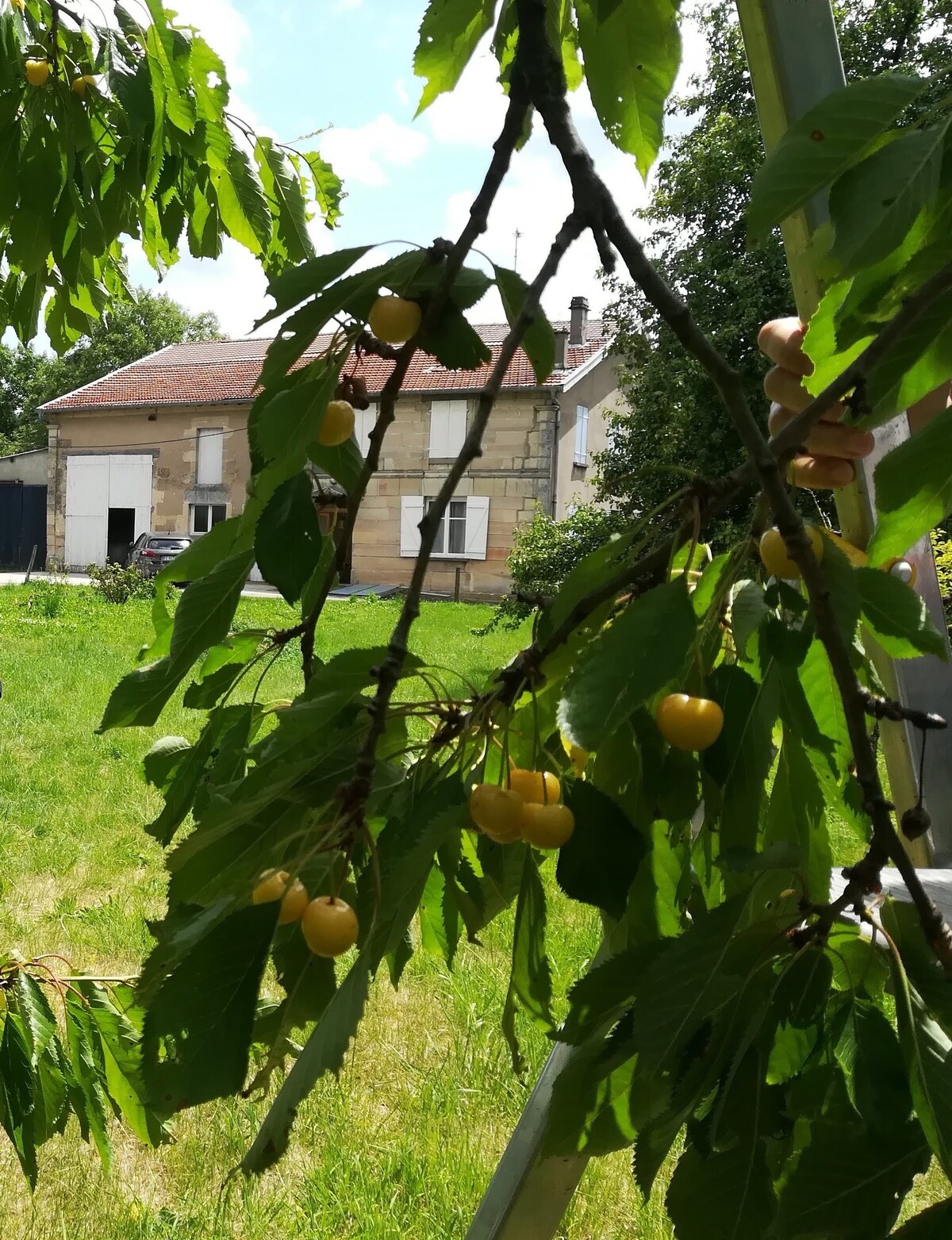 Maison à la campagne, calme.