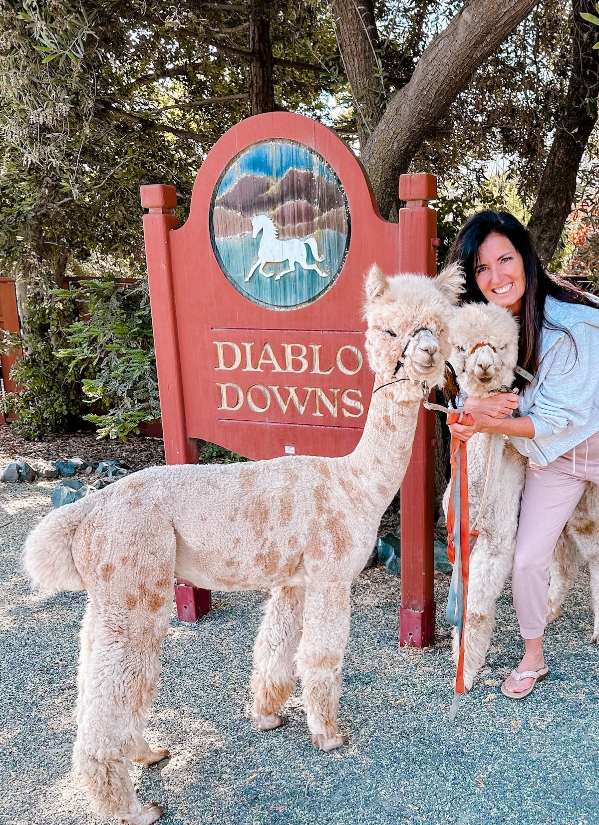Diablo Downs Sanctuary & Farm Yoga Retreat