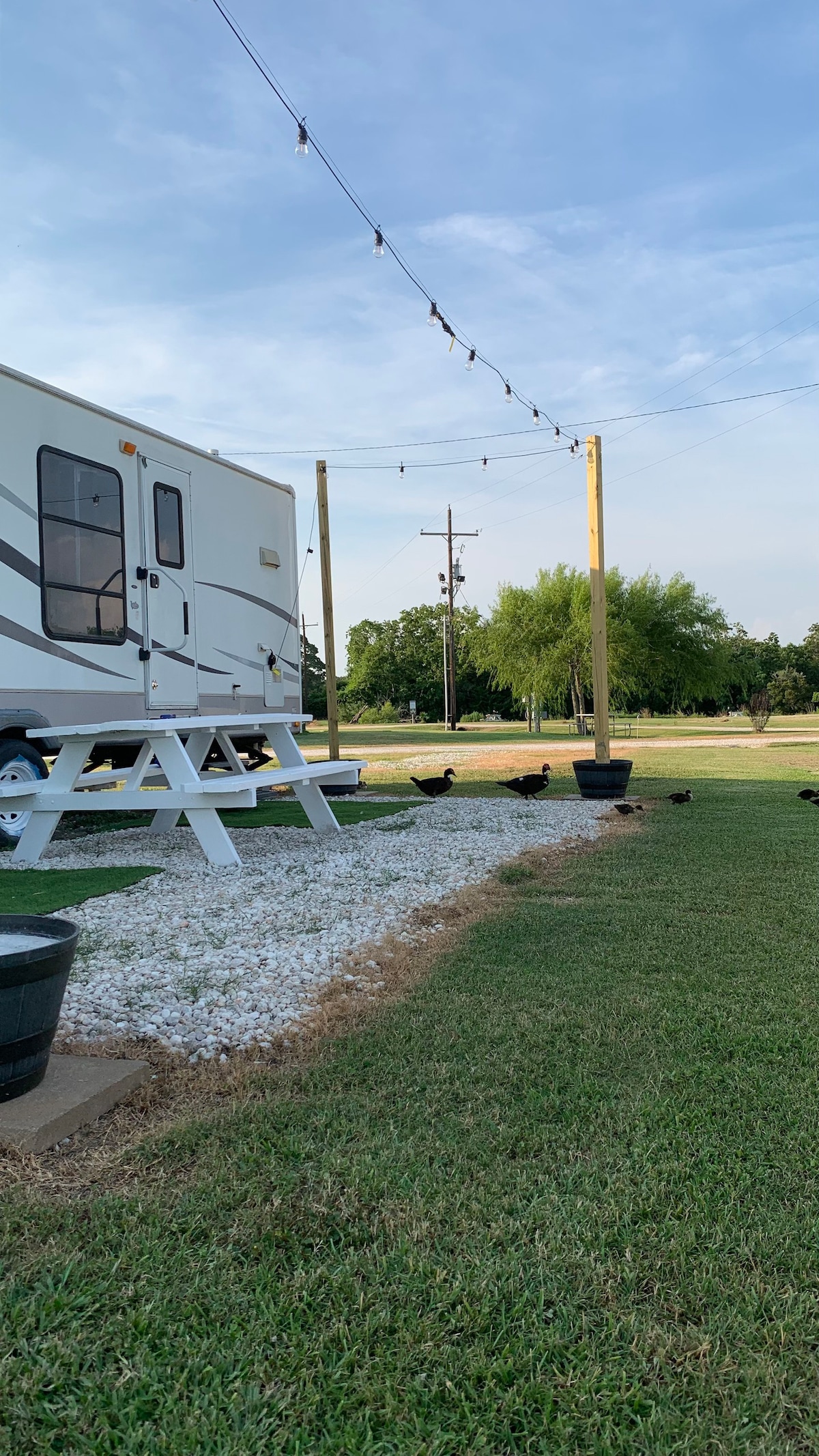 Glamping Anahuac Style!