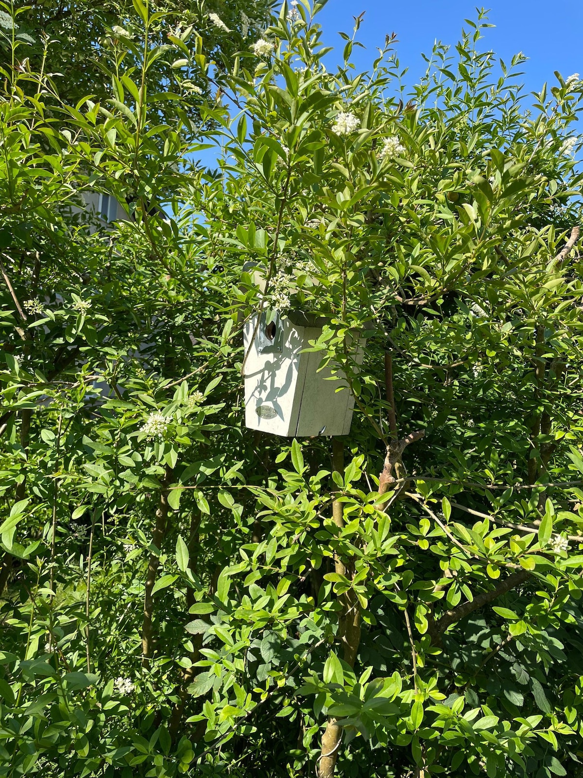 Gartenwohnung vor den Toren Berns