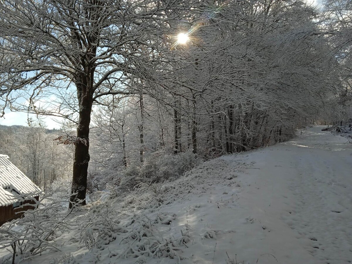 Chalet Rebière-Nègre