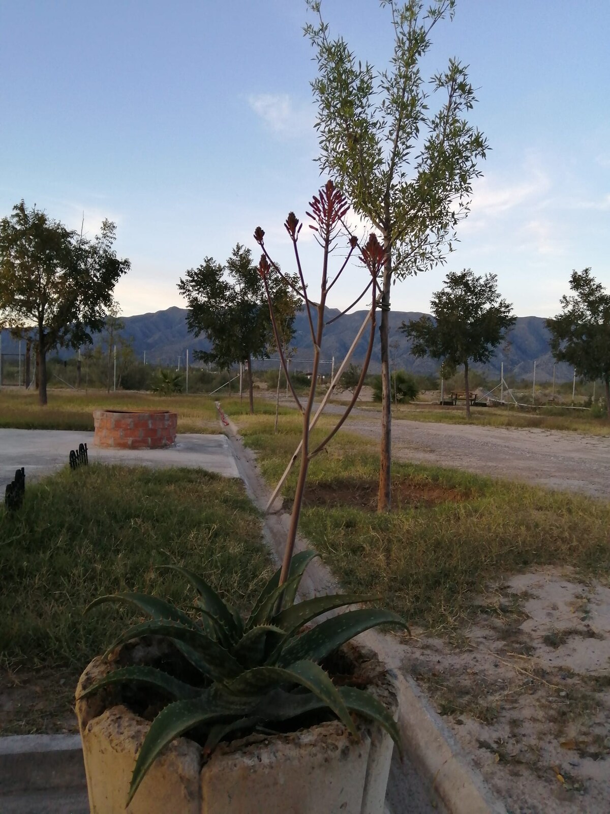 Rincón de Romos. LaMadrid Coah.