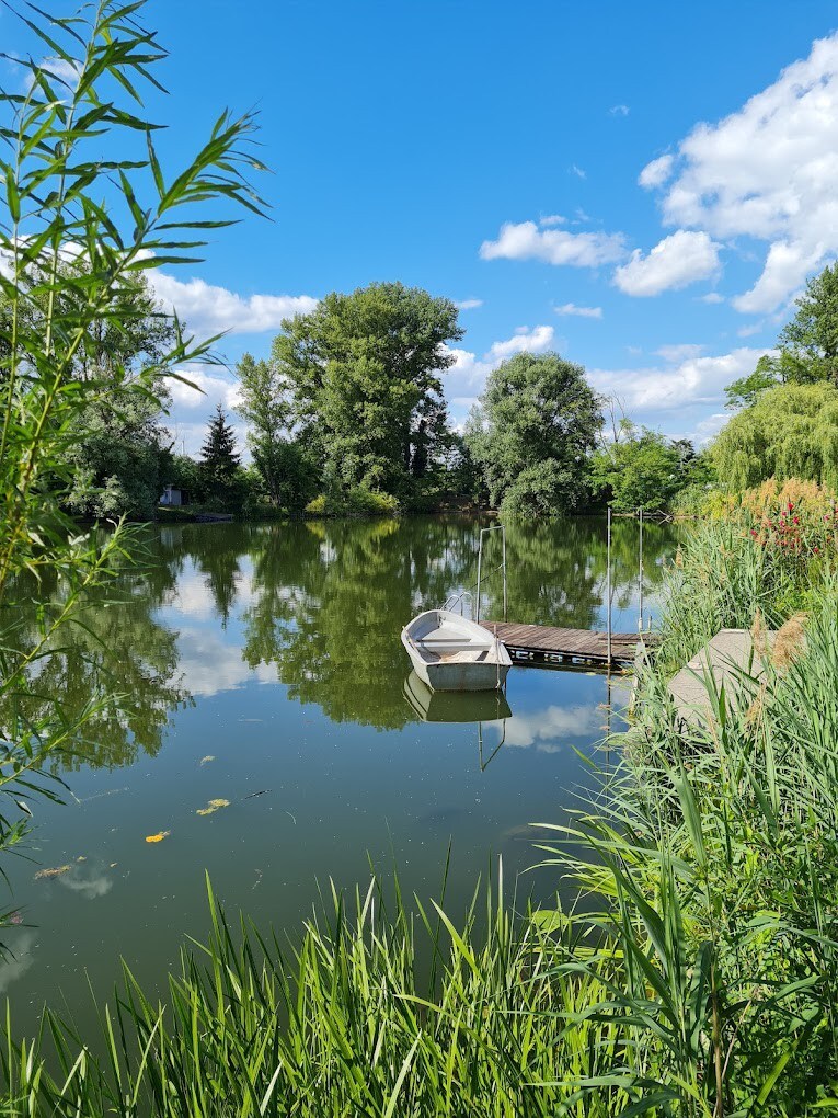 Ferienwohnung direkt am See