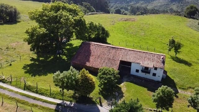 Casa rural El Jilguiro
