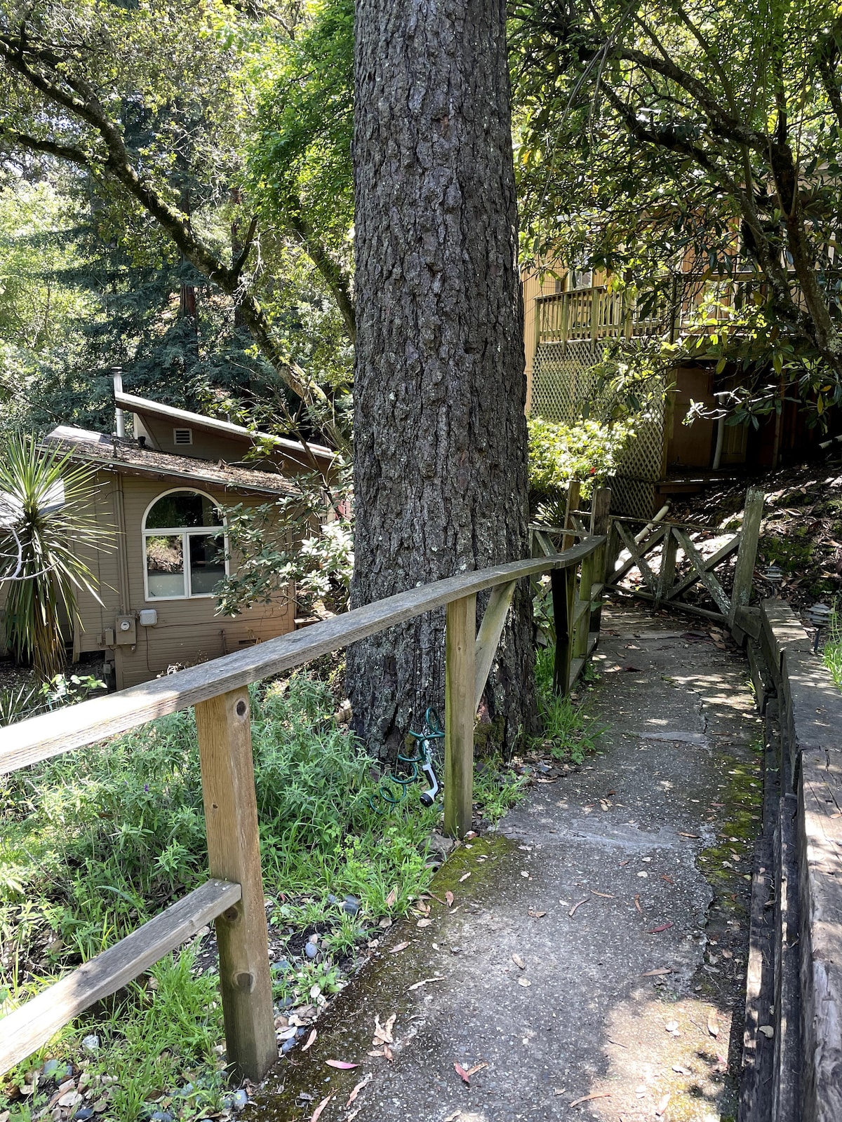 Peaceful Oakland Hills Treehouse