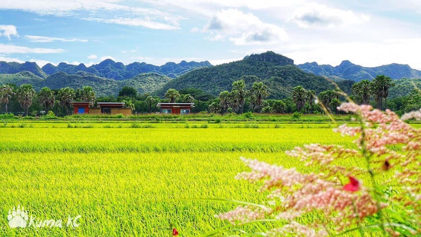 Tambon Kaeng Sian的民宿