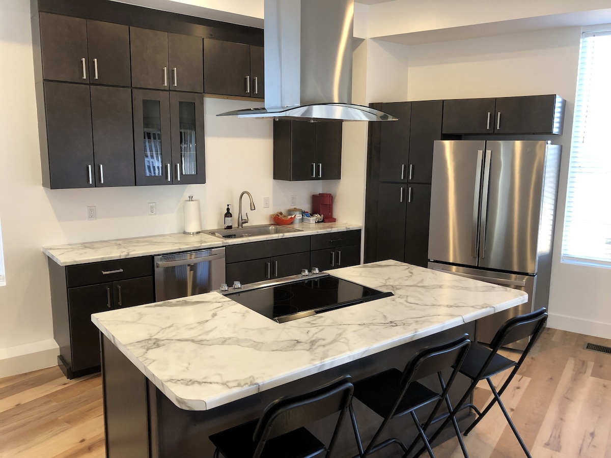 TigersLair - Brand New Modern Downtown Condo