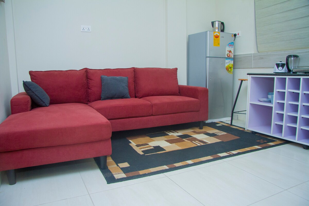 Cozy One Bedroom Apartment in Labone, Accra