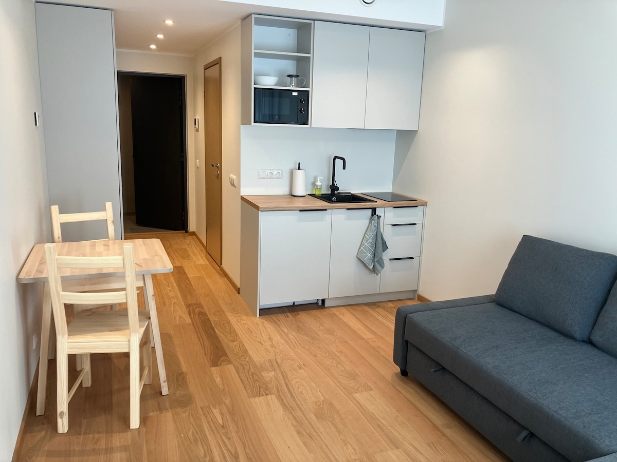 Small apartment near city centre