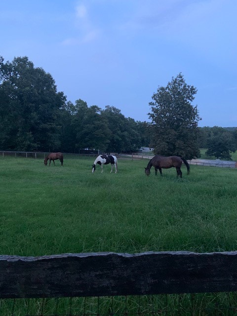 Equestrian Hideaway