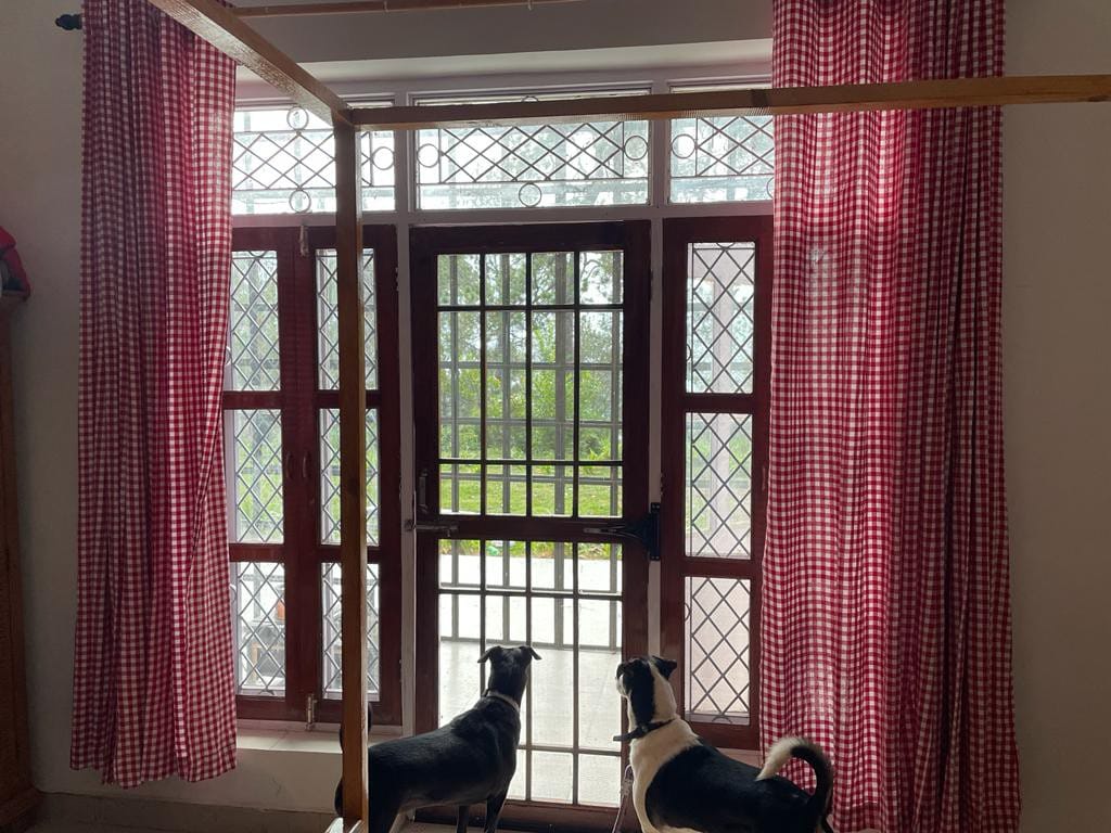 Tucked In A Corner-  Pet Friendly Bnb in Ranikhet