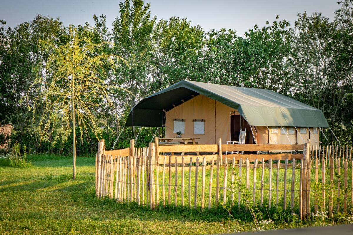 Glamping tussen de paarden, 'De Shetlander'