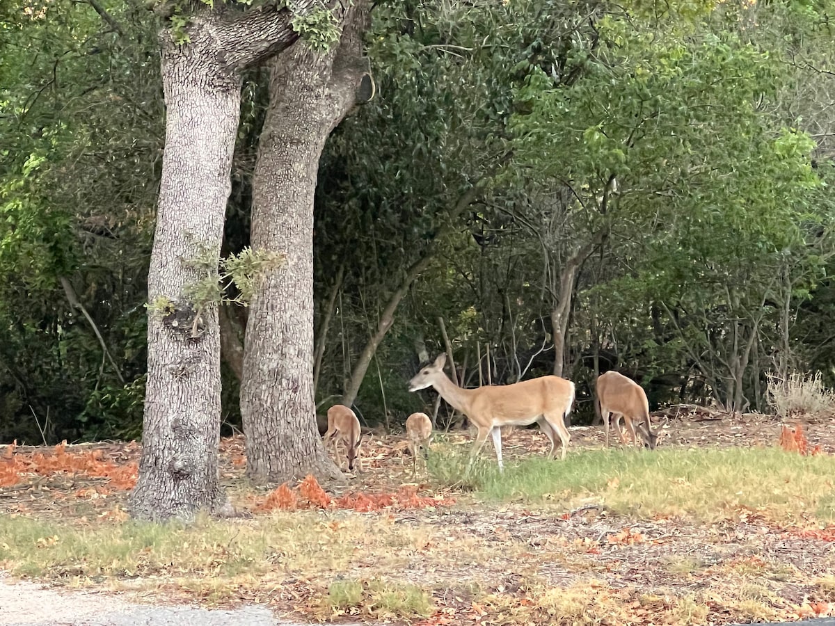 MidCentury Charm|Hot Tub-Firepit|Pets|Walk to Main