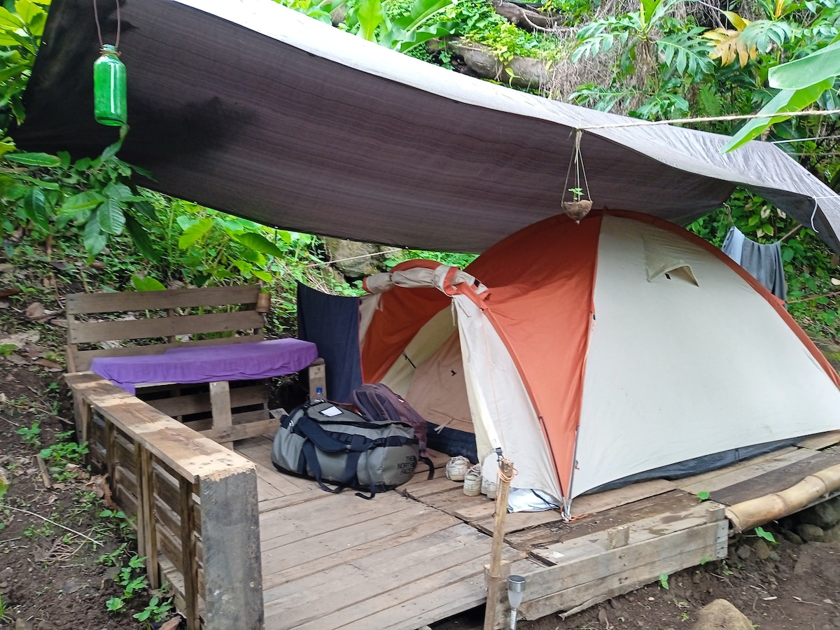 Tentes et hamacs dans la jungle