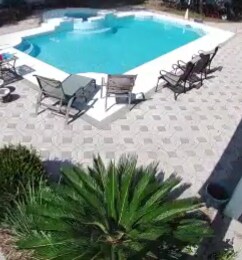 Gorgeous 5 bedroom home w/ pool. No cleaning fee!
