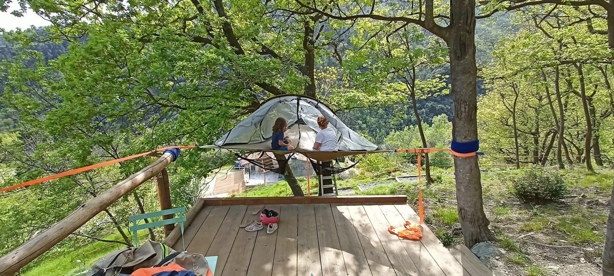 帐篷悬挂在树上