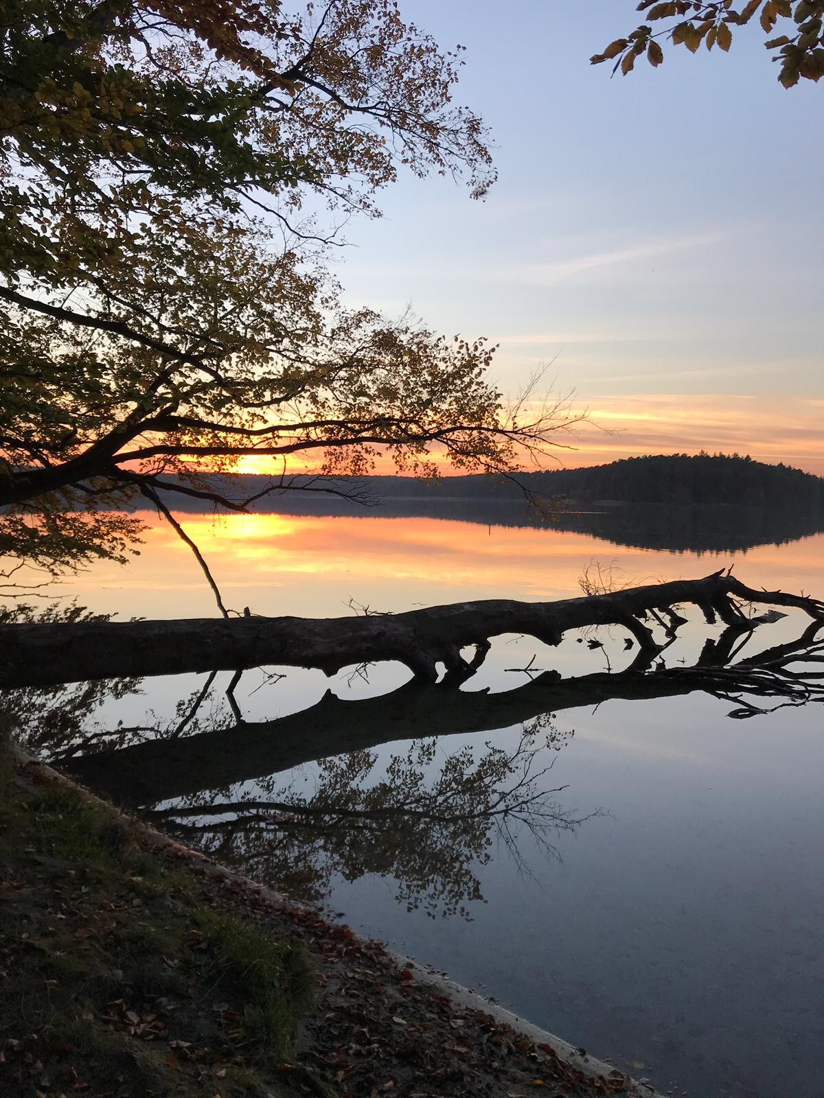 Nächster Halt: Stechlinsee!