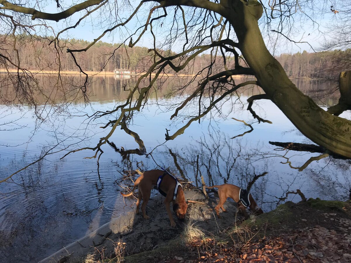 Nächster Halt: Stechlinsee!