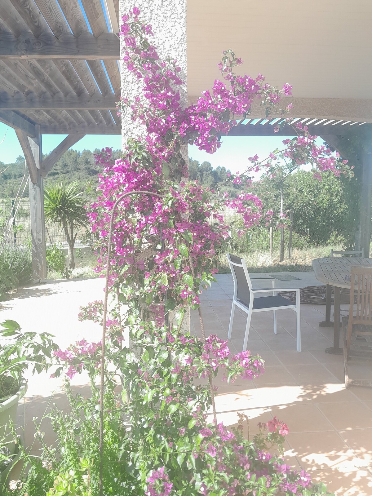 Maison avec jardin et piscine