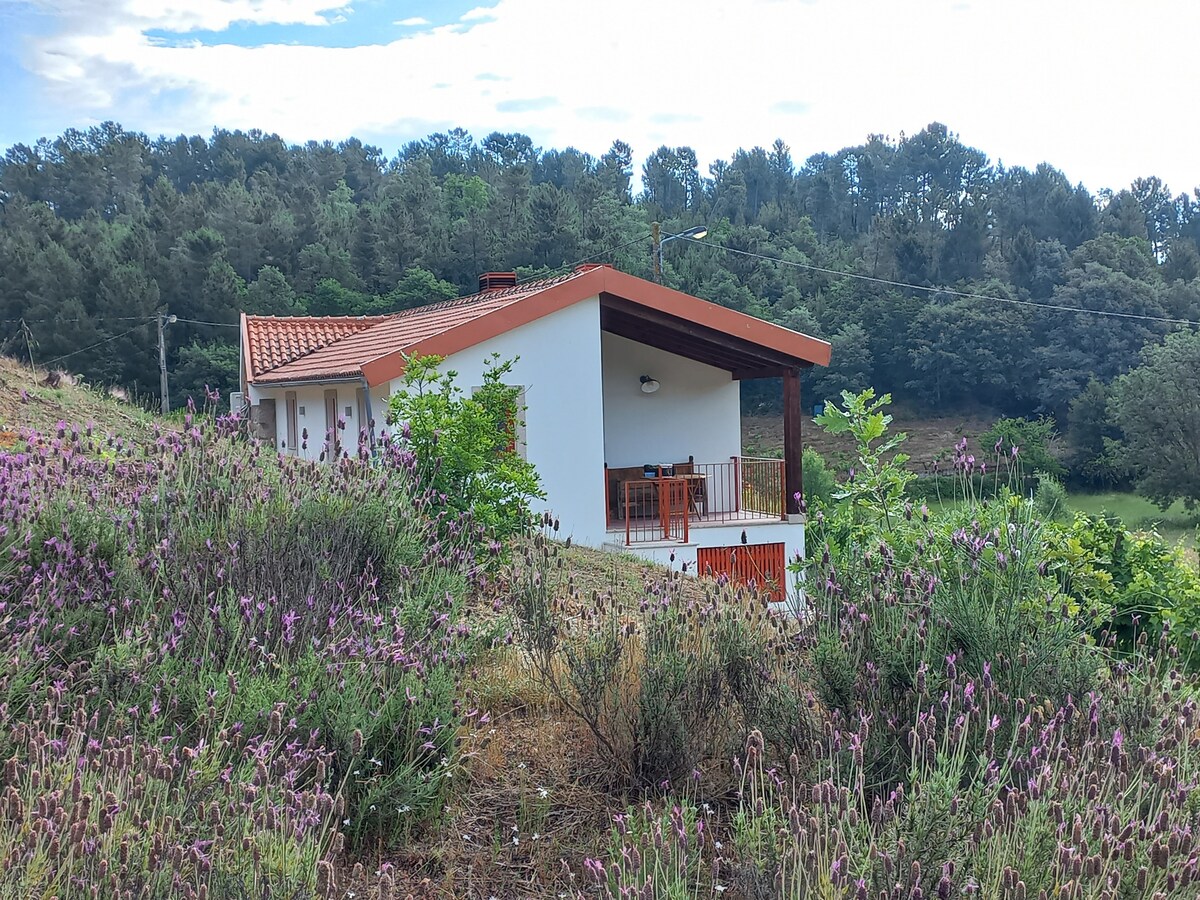 Quinta da Peça Upper Douro Wine Region