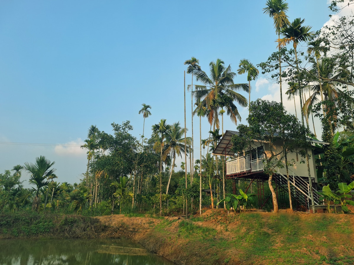 One BR Cottage Pond View Hut