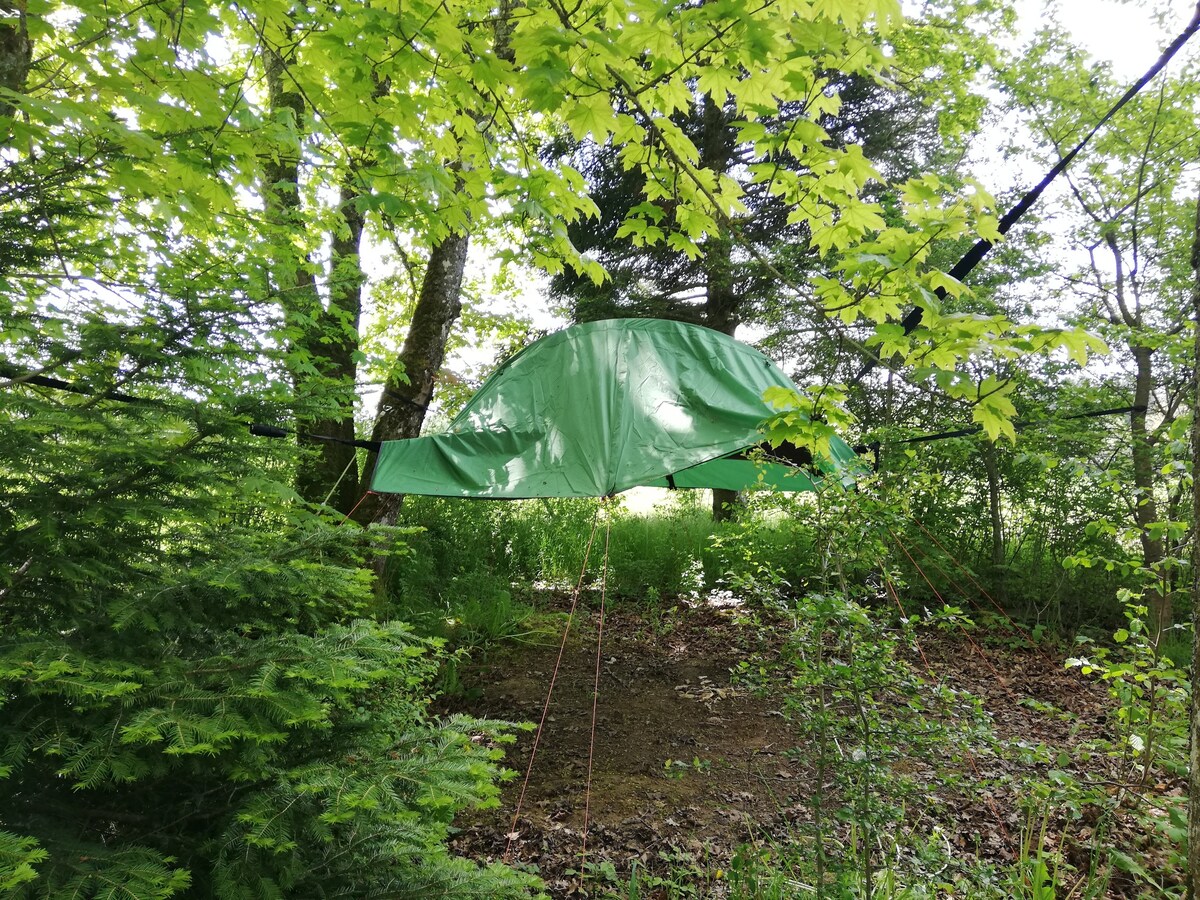 度假天堂中的树屋帐篷