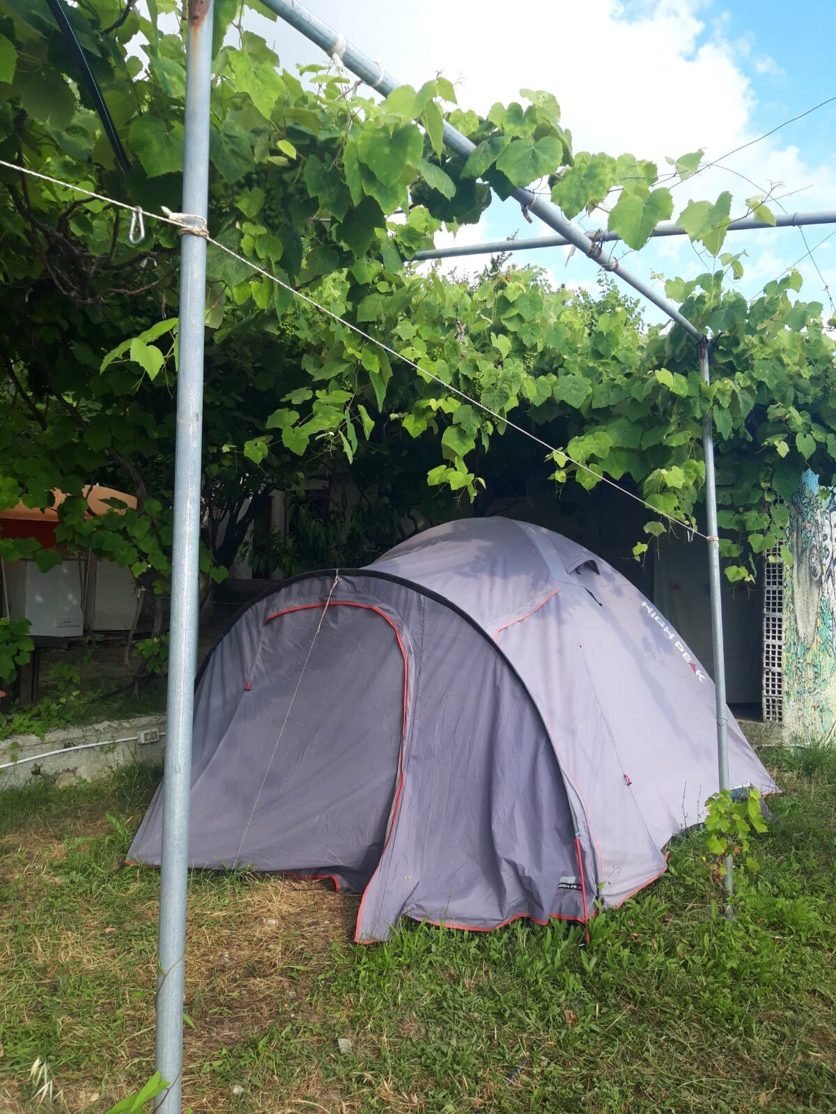 Jungle Camping in Borsh (Large tent)