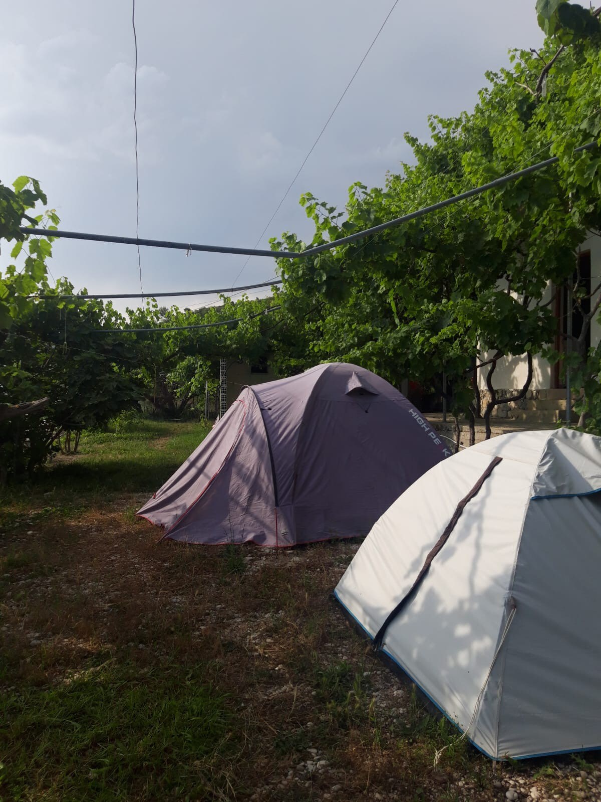 Jungle Camping in Borsh (Large tent)