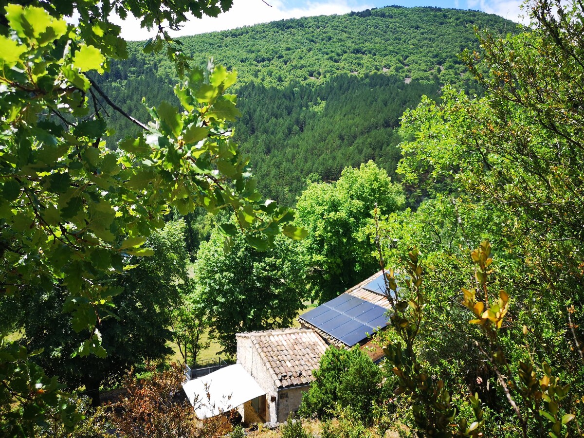 Bienvenue au Gîte La Magnanerie