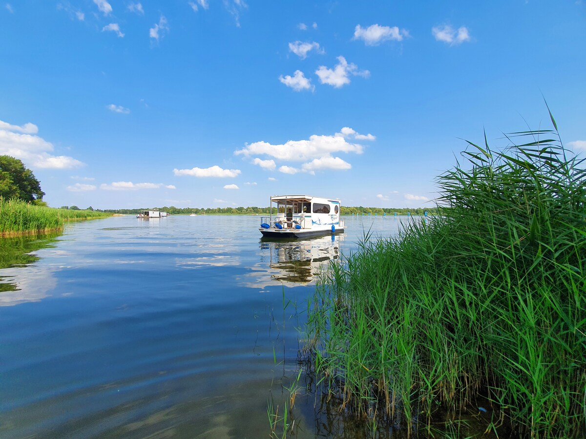 modernes Hausboot Geiseltalsee