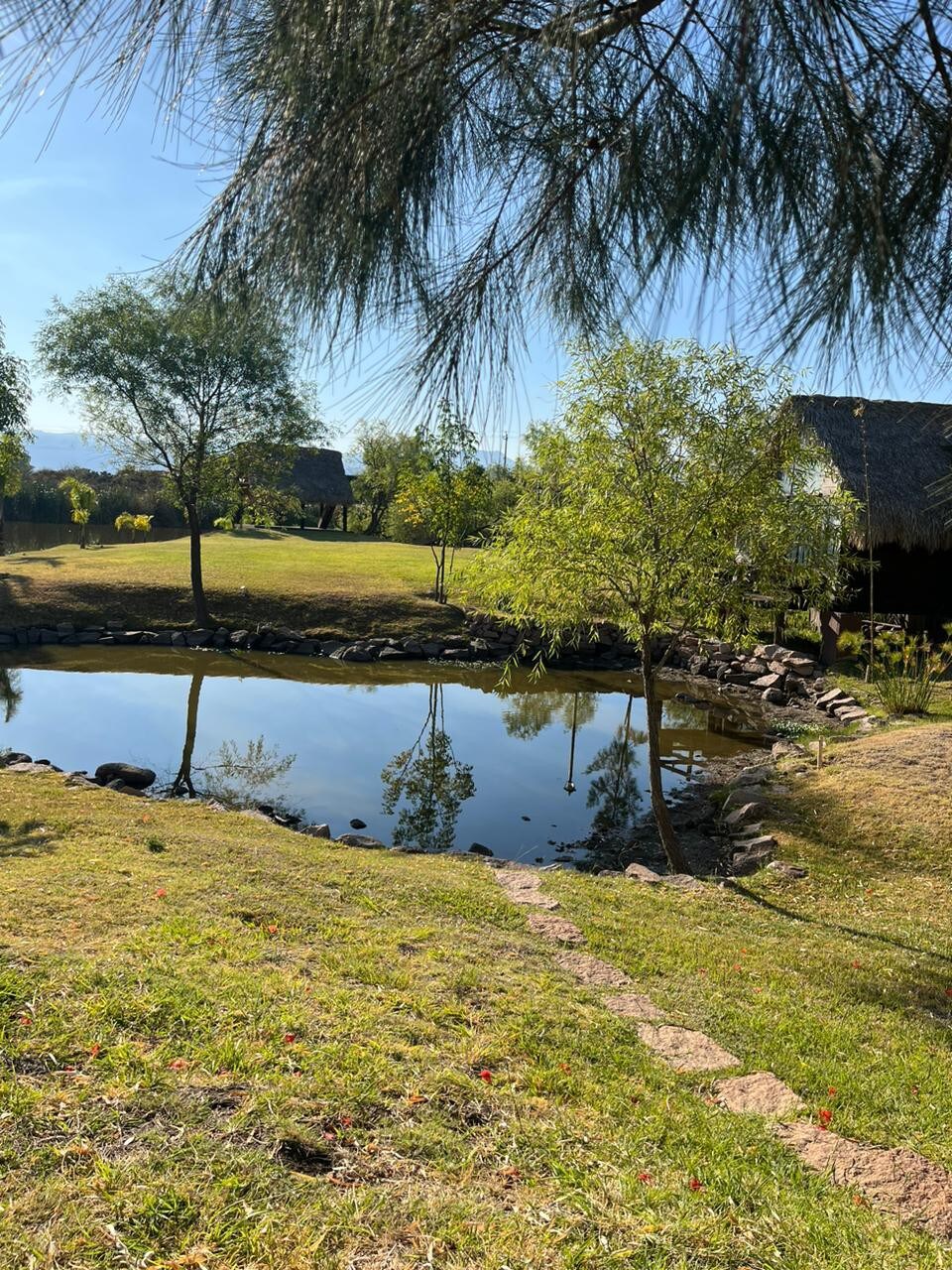 Cabañas "Paraíso de Tepechitlán"